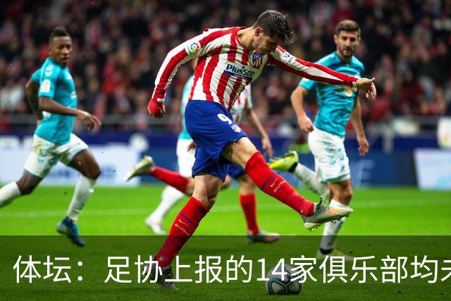 体坛：足协上报的14家俱乐部均未获亚冠许可证